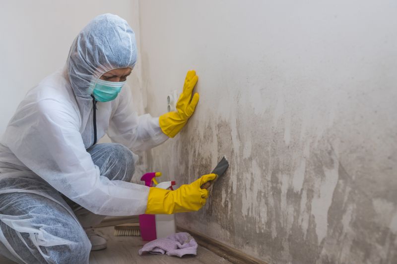 Mold and Mildew
