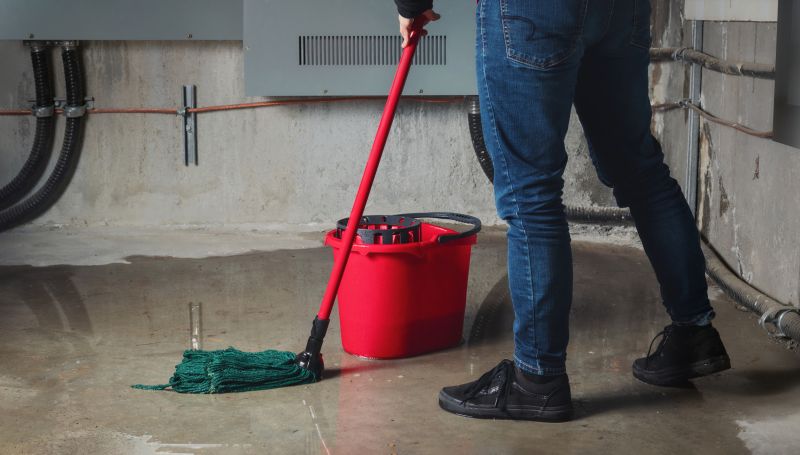 Basement Cleaning