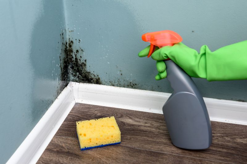 Interior Wall Cleaning